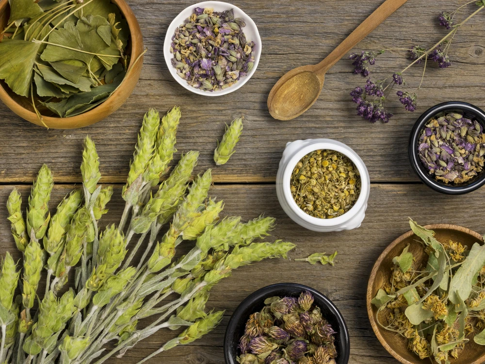 Tanaman Rempah, Aromatik & Obat